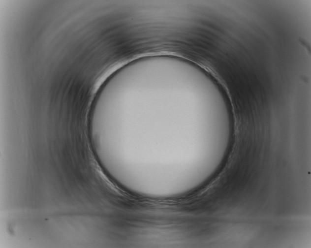 X0000099950789200805231000