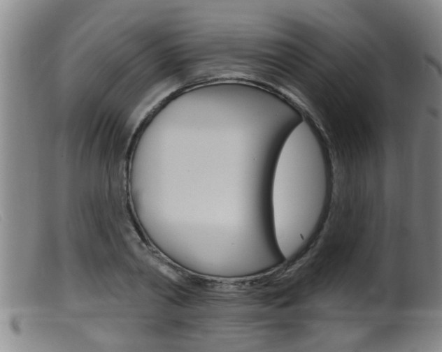 X0000099950790200805231000
