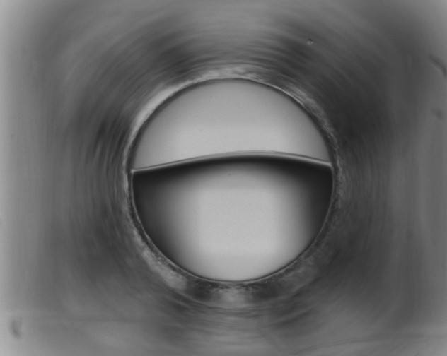 X0000099950792200805231000