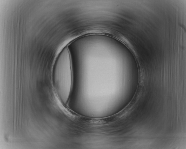 X0000099950795200805231000