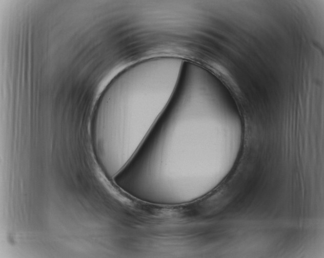 X0000099950796200805231000