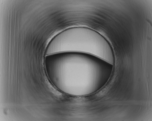 X0000099950797200805231000