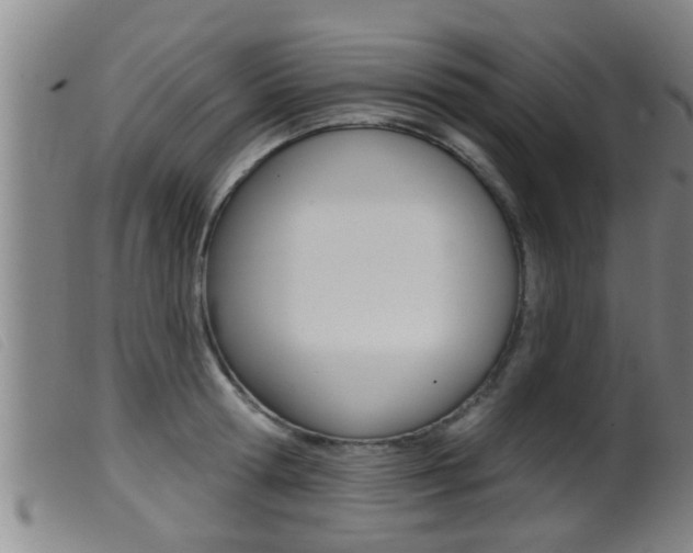 X0000099950802200805231000