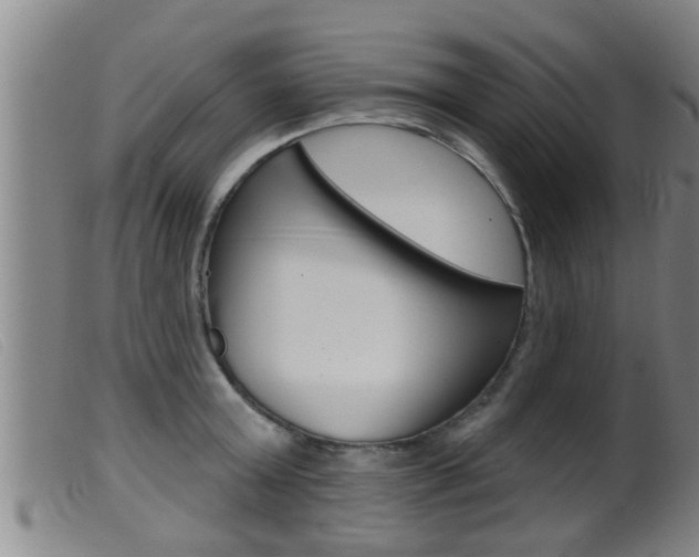 X0000099950803200805231000