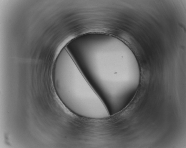 X0000099950804200805231000