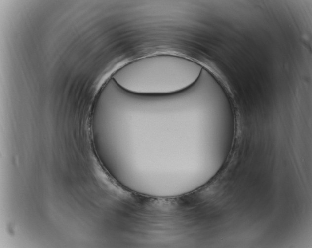 X0000099950806200805231000