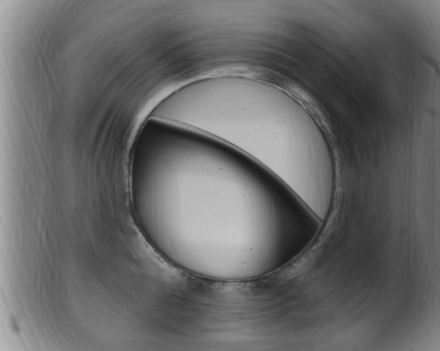 X0000099950808200805231000