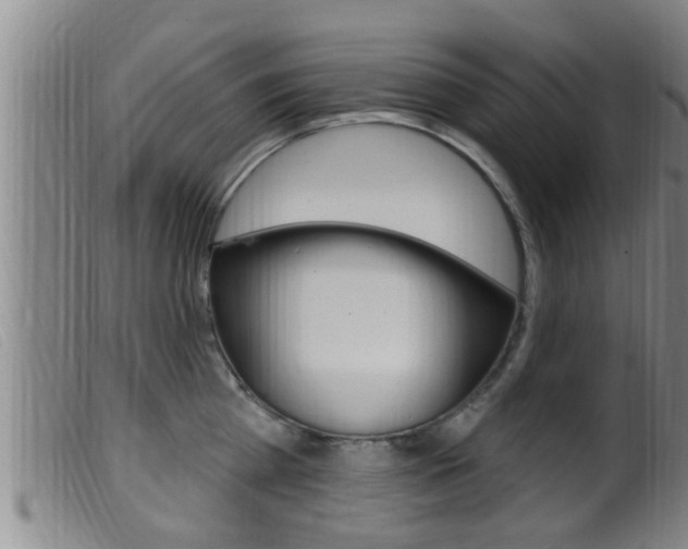 X0000099950809200805231000