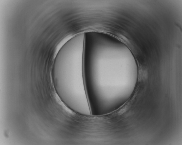 X0000099950812200805231000