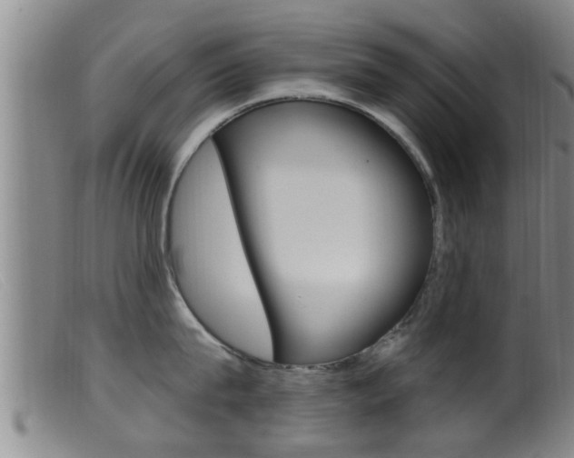 X0000099950815200805231000