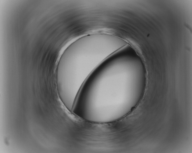 X0000099950816200805231000