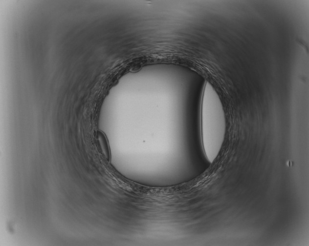 X0000099950817200805230959