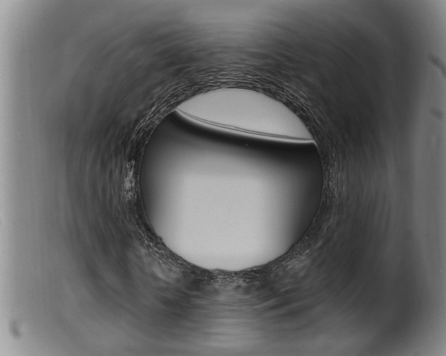 X0000099950818200805230959
