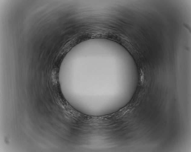 X0000099950819200805230959