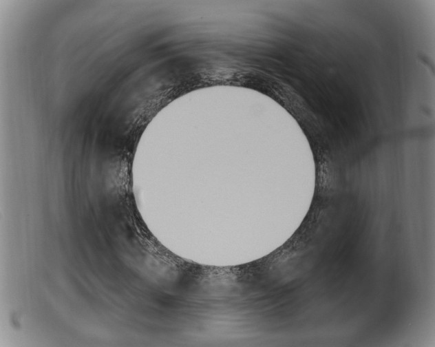 X0000099950820200805230959