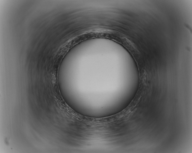 X0000099950821200805230959
