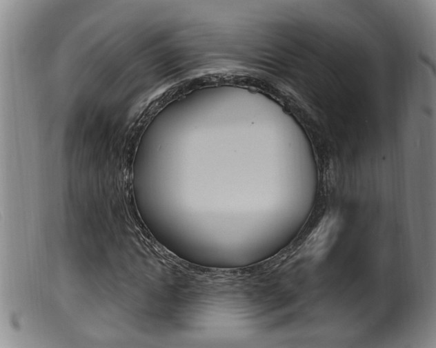 X0000099950822200805230959