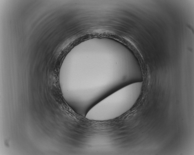 X0000099950823200805230959