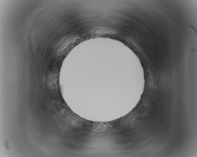 X0000099950824200805230959
