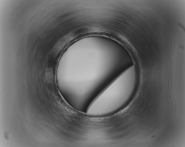 X0000099950825200805230959