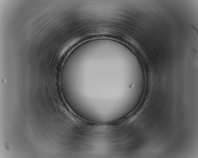 X0000099950826200805230959