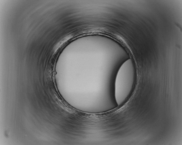 X0000099950827200805230959
