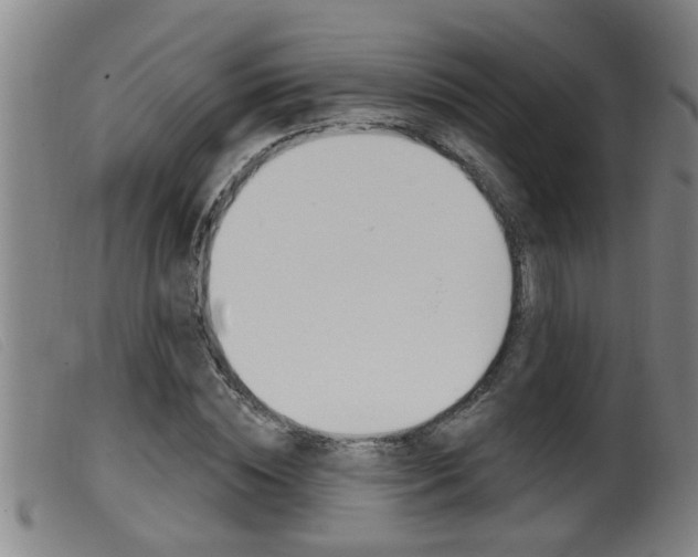 X0000099950828200805230959