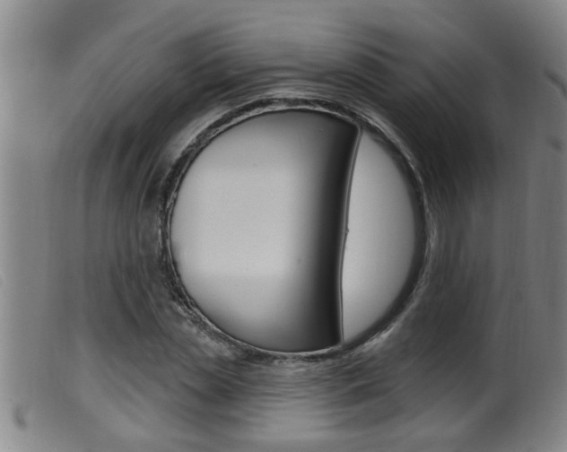 X0000099950829200805230959