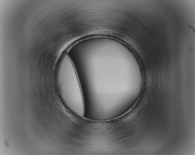 X0000099950830200805230959