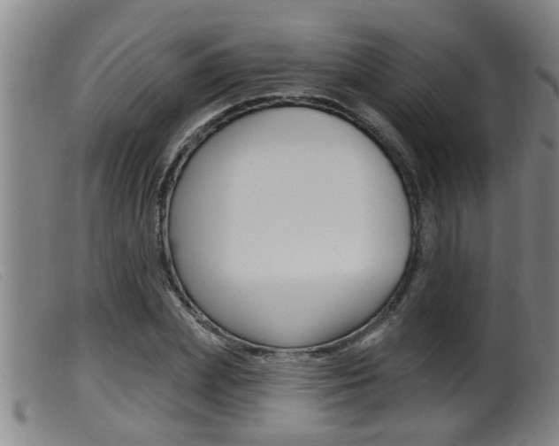 X0000099950831200805230959