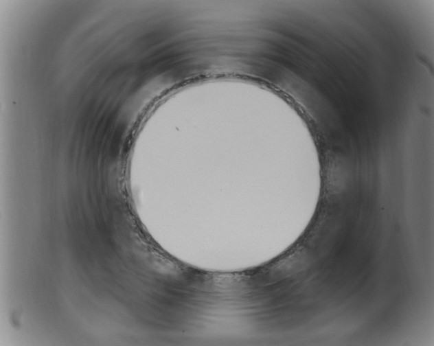 X0000099950832200805230959