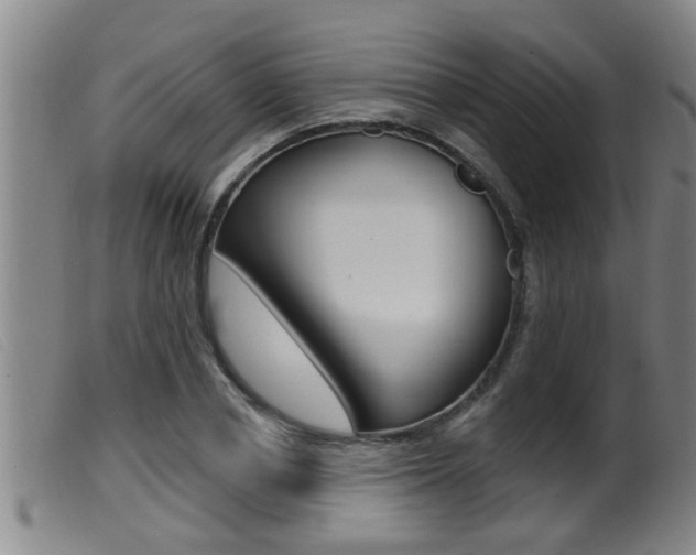 X0000099950834200805230959