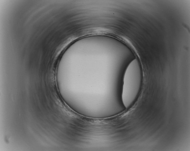 X0000099950835200805230959