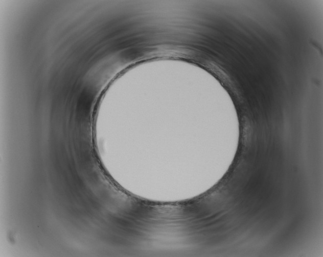 X0000099950836200805230959