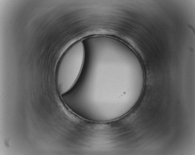 X0000099950837200805230959