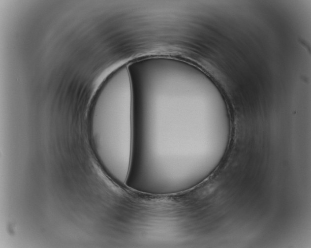 X0000099950838200805230959