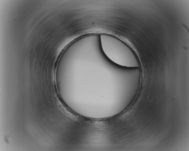 X0000099950839200805230959