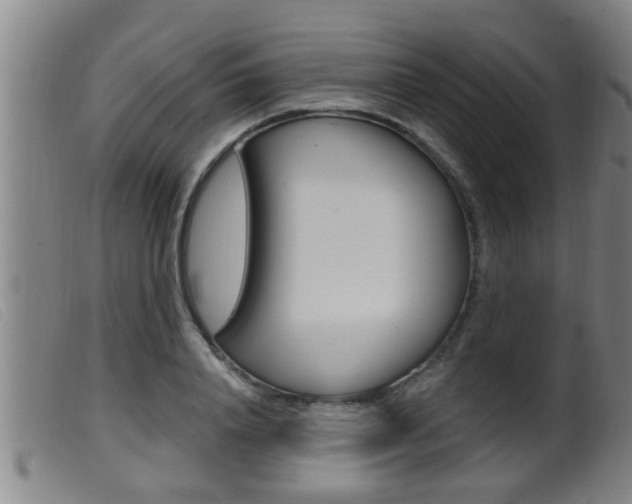 X0000099950840200805230959