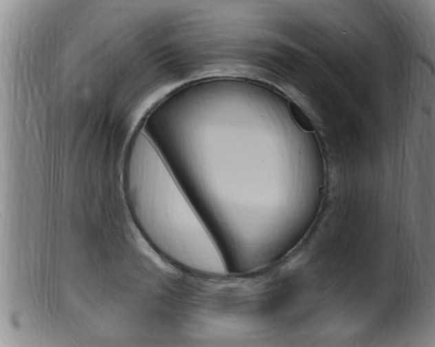 X0000099950846200805230959