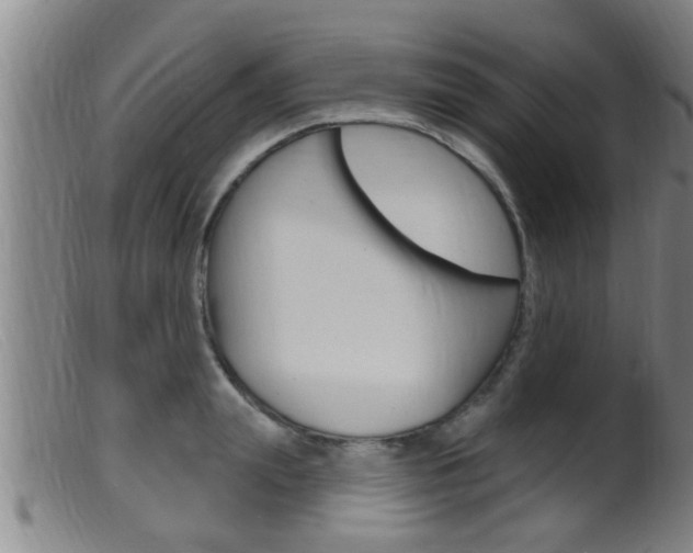X0000099950847200805230959