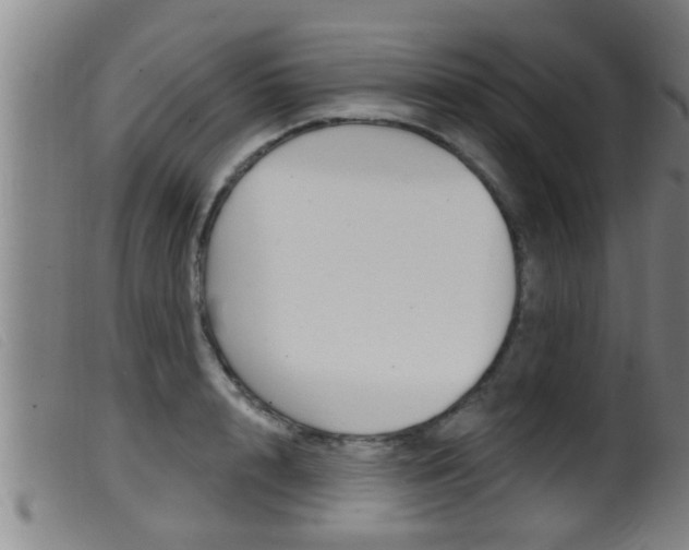 X0000099950848200805231000