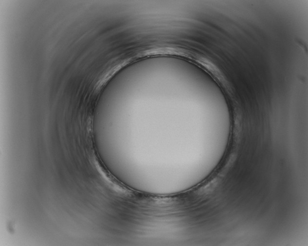 X0000099950849200805231000