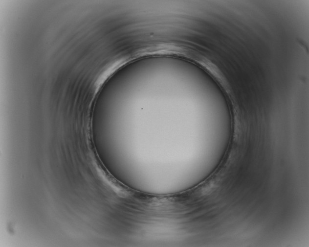X0000099950850200805231000
