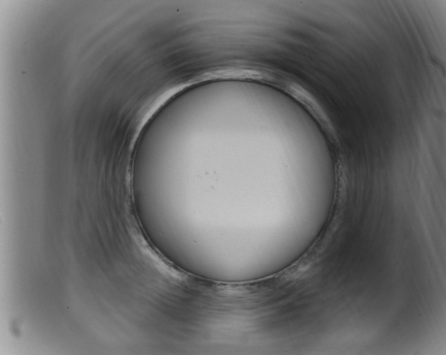 X0000099950852200805231000