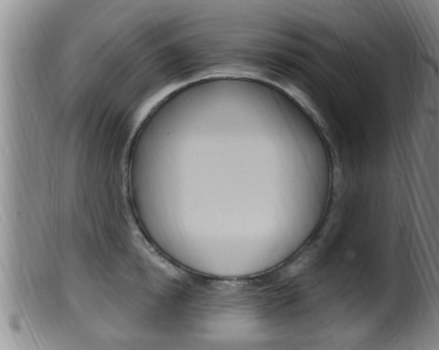 X0000099950854200805231000