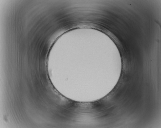 X0000099950856200805231000