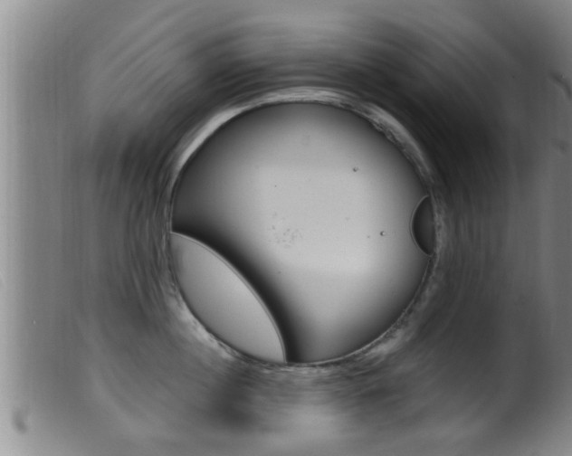 X0000099950860200805231000