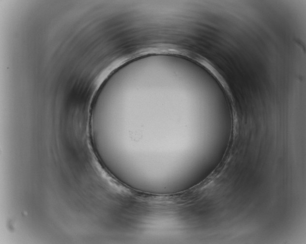 X0000099950861200805231000