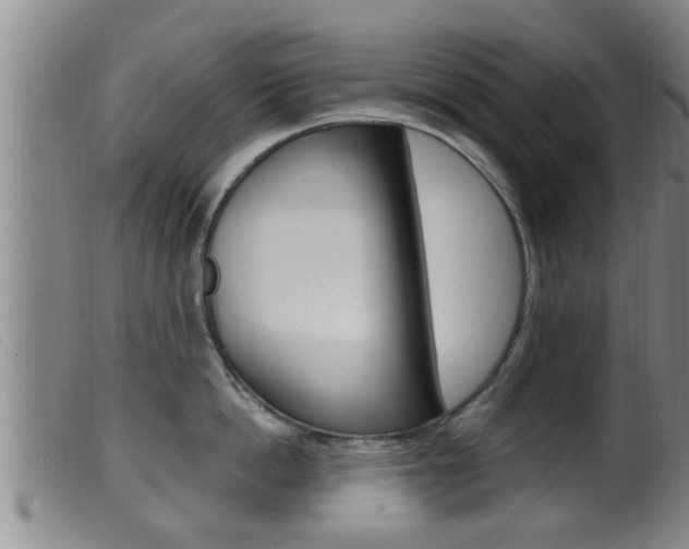 X0000099950862200805231000