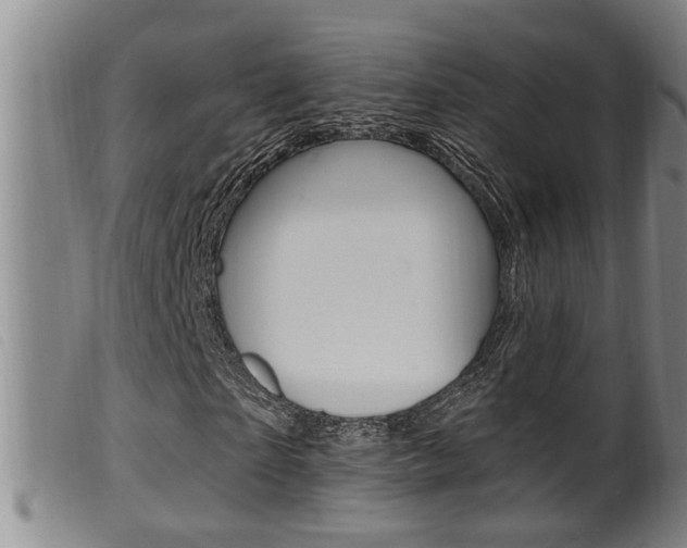 X0000099950865200805230959